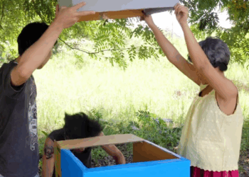 [หนังเต็มเรื่อง] 177H0815 C ตู้เอทีเอ็มดูดเงินล้าน จนพวกเขาทนไม่ไหวต้องถลอกหนังหัวหน้าแก๊ง