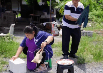 [หนังเต็มเรื่อง] 178H0825 E ย้อมสีไก่บ้านเป็นไก่ดำ ทำของไหว้สะเดาะเคราะห์ แต่โชคไม่ดีครั้งนี้ตำรวจมาตรวจแผง จบ