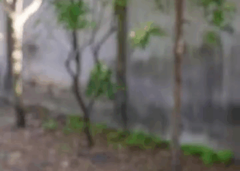 [หนังเต็มเรื่อง] 103H0825 E เค้ารีบเอาดินกลบตัวเอง เพราะแฟนกำลังจะมาแถมมาทีเดียว 2 คน