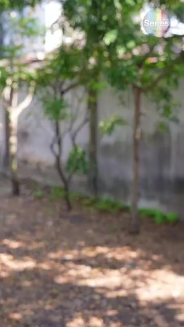 [หนังเต็มเรื่อง] 103H0825 E เค้ารีบเอาดินกลบตัวเอง เพราะแฟนกำลังจะมาแถมมาทีเดียว 2 คน