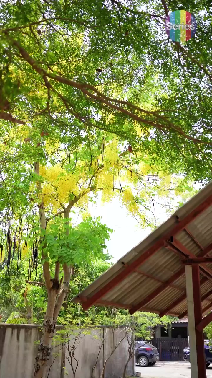 [หนังเต็มเรื่อง] 108H0825 E เด็กคนนี้เป็นลูกของใคร ทำไมแม่บ้านถึงดูรีบร้อน หรือว่านี่จะเป็นกับดัก