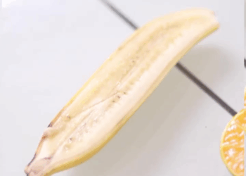 [หนังเต็มเรื่อง] 598H0926 X เลิกกันได้แต่ทุกอย่างต้องแบ่งคนละครึ่ง ละครสั้น สะท้อนสังคม แฟนเก่า