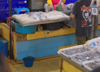 [หนังเต็มเรื่อง] 135H0926 C เพิ่มเงินเดือนให้30000 แต่เธอโลภมากขอลาออก สุดท้ายเข่าแทบทรุด