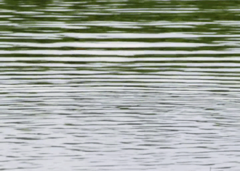 [หนังเต็มเรื่อง] 147H0926 C เมียหลวงก็เหมือนรถที่ออกจากศูนย์ เมียน้อยก็เหมือนอ่ะไหล่อู่นอก