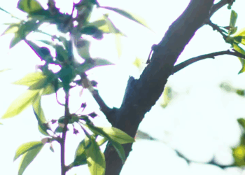 [หนังเต็มเรื่อง] 296H0926 C อย่าตัดสินใครแค่ฉากเดียว ถ้ายังไม่รู้รอบด้าน