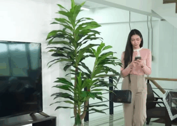 [หนังเต็มเรื่อง] 098H1016 Y ซ่อนชู้ไว้ในบ้าน