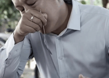 [หนังเต็มเรื่อง] 110H1016 Y ข้าวของคุณได้ช่วยชีวิตผมไว้