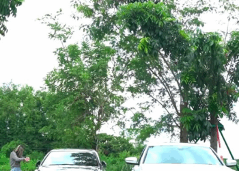 [หนังเต็มเรื่อง] 144H1016 Y คนเห็นแก่ตัวแบบนี้ไม่ควรอยู่บนโลกนี้