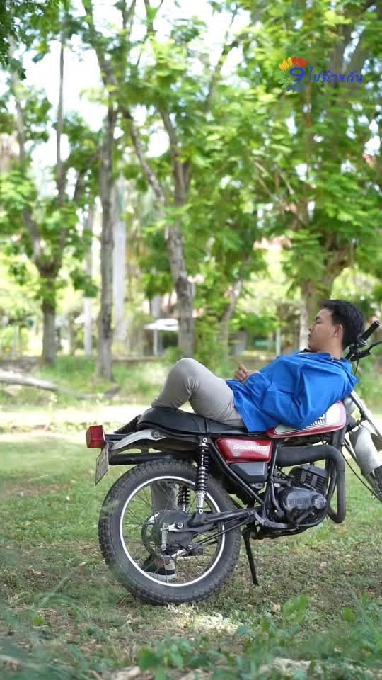 [หนังเต็มเรื่อง] 161H1016 Y ฉันมาเพื่อขายนำ้มันสองขวด