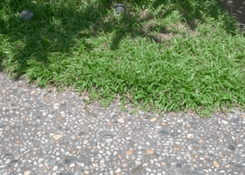 [หนังเต็มเรื่อง] 173H1016 Y ภารกิจกล่องข้าว