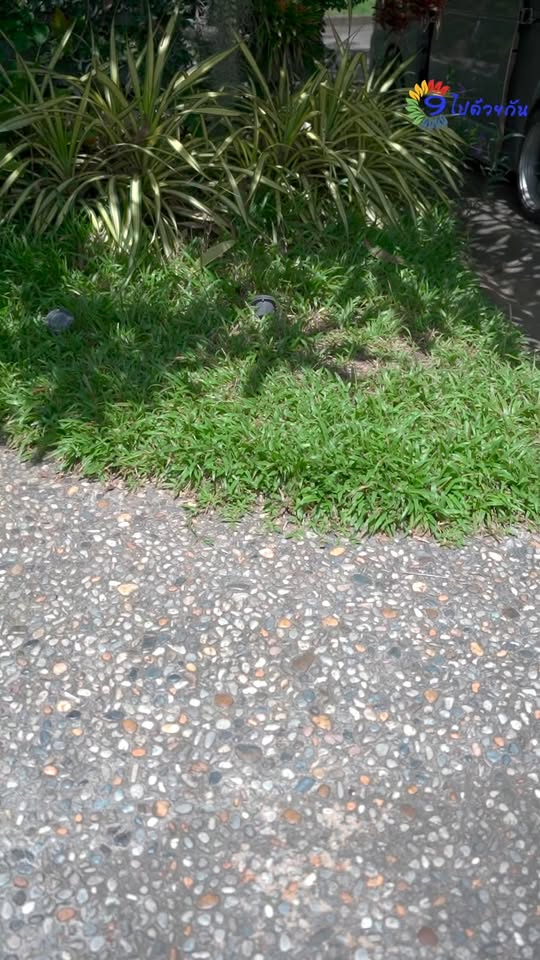 [หนังเต็มเรื่อง] 173H1016 Y ภารกิจกล่องข้าว