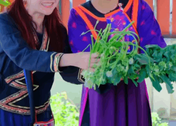 [หนังเต็มเรื่อง] 664H1016 Q แม่ลงดอยมาเที่ยวหาลูกสาวแต่โดนไล่กลับบ้าน