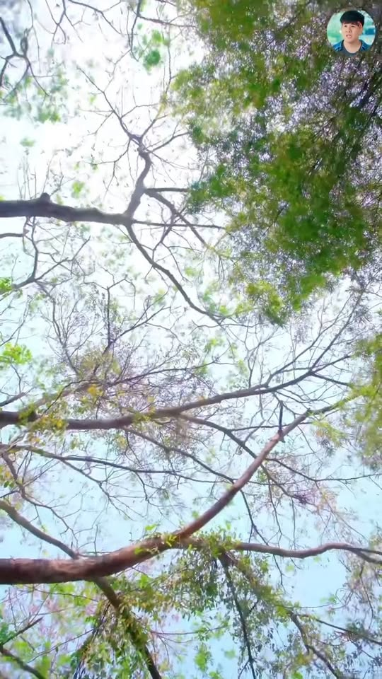 [หนังเต็มเรื่อง] 667H1016 Q โดนแฟนบอกเลิกเพราะทำปลาแดดเดียวให้กิน