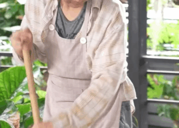 [ตอนที่ 2] 212T1020 AB198 ร้านข้าวเล็ก ๆ กับน้ำใจที่ยิ่งใหญ่