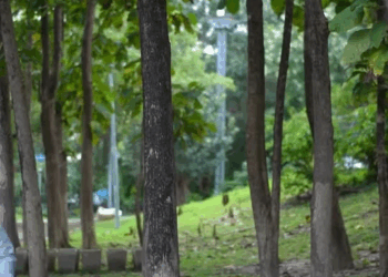 [ตอนที่ 2] 559T1020 AD105 แม่ผมหายไปอีกแล้ว