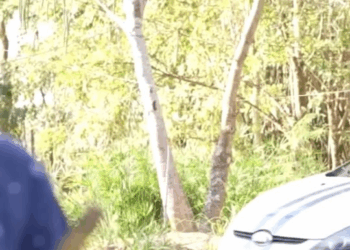 [ตอนที่ 2] 580T1020 AD126 พี่โชค กับ พี่ฟู่ วันๆไม่ทำอะไรมัวแต่นินทาคนอื่น