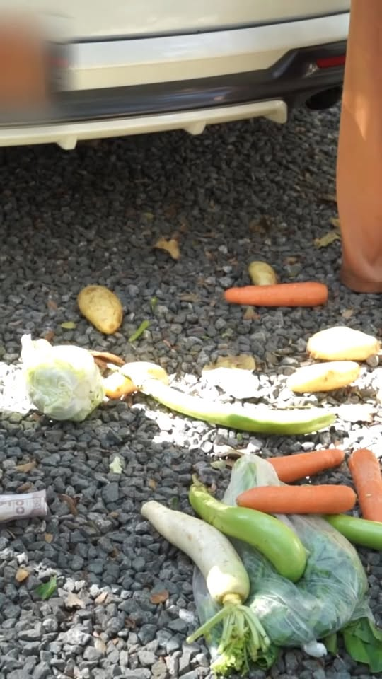 [ตอนที่ 2] 588T1020 AD134 เหมยไม่ชอบบ้านนอกคนเป็นแฟนอย่างเชนต้องทำยังไง