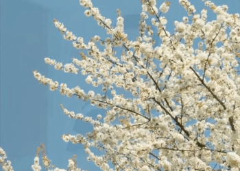 [ตอนที่ 2] 657T1020 AD203 คนหมดรัก มันเป็นยังไง