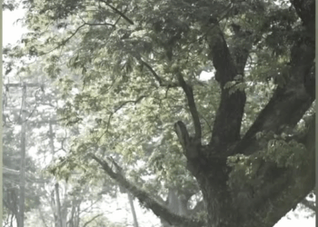 [ตอนที่ 2] 717T1020 AD264 เงิuแค่ 1 บๅท มีผลต่อพี่ฟู่ด้วยเหรอ