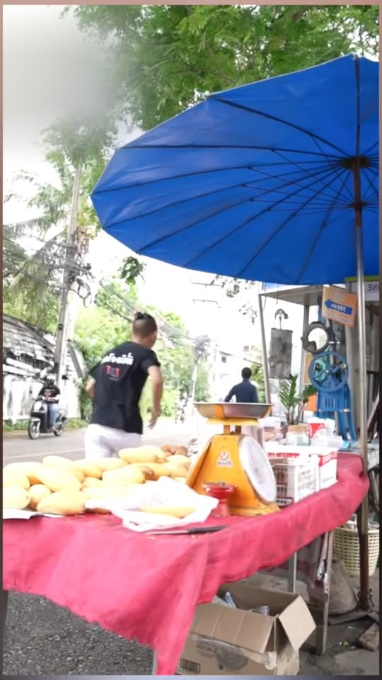 [ตอนที่ 2] 689T1020 AD235 พี่ใหญ่อย่างพี่ฟู่ลำบากน้องๆคงไม่อยากจะอยู่ด้วย