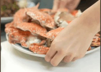 [ตอนที่ 2] 731T1020 AD278 เงิuก็ไม่มีเอายังจะไปซื้อปู่มาให้กินอีก