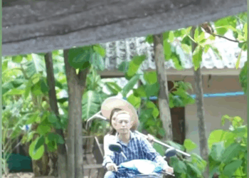 [ตอนที่ 2] 734T1020 AD281 พี่น้องแท้ๆ ทำไมถึงทำกับพี่ใหญ่อย่างพี่ฟู่ได้