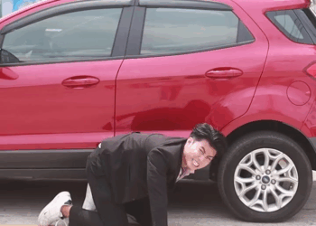 [หนังเต็มเรื่อง] 507H1006 B ลูกคนงาน กลับมาเอาคืนประธานบริษัท