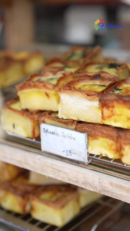 [หนังเต็มเรื่อง] 220H1016 Y มีปัญญาแค่ซื้อพายให้กิน เหมือนฉันเอาอนาคตมาทิ้งชัดๆ