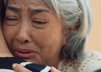 [หนังเต็มเรื่อง] 310H1016 Y พาแม่มาหาหลาน แต่คนที่บ้านไม่ต้อนรับ