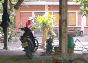 [ตอนต่อไป] 470T1110 A ความรักของหนุ่มไฮโซกับสาวบ้านนอก