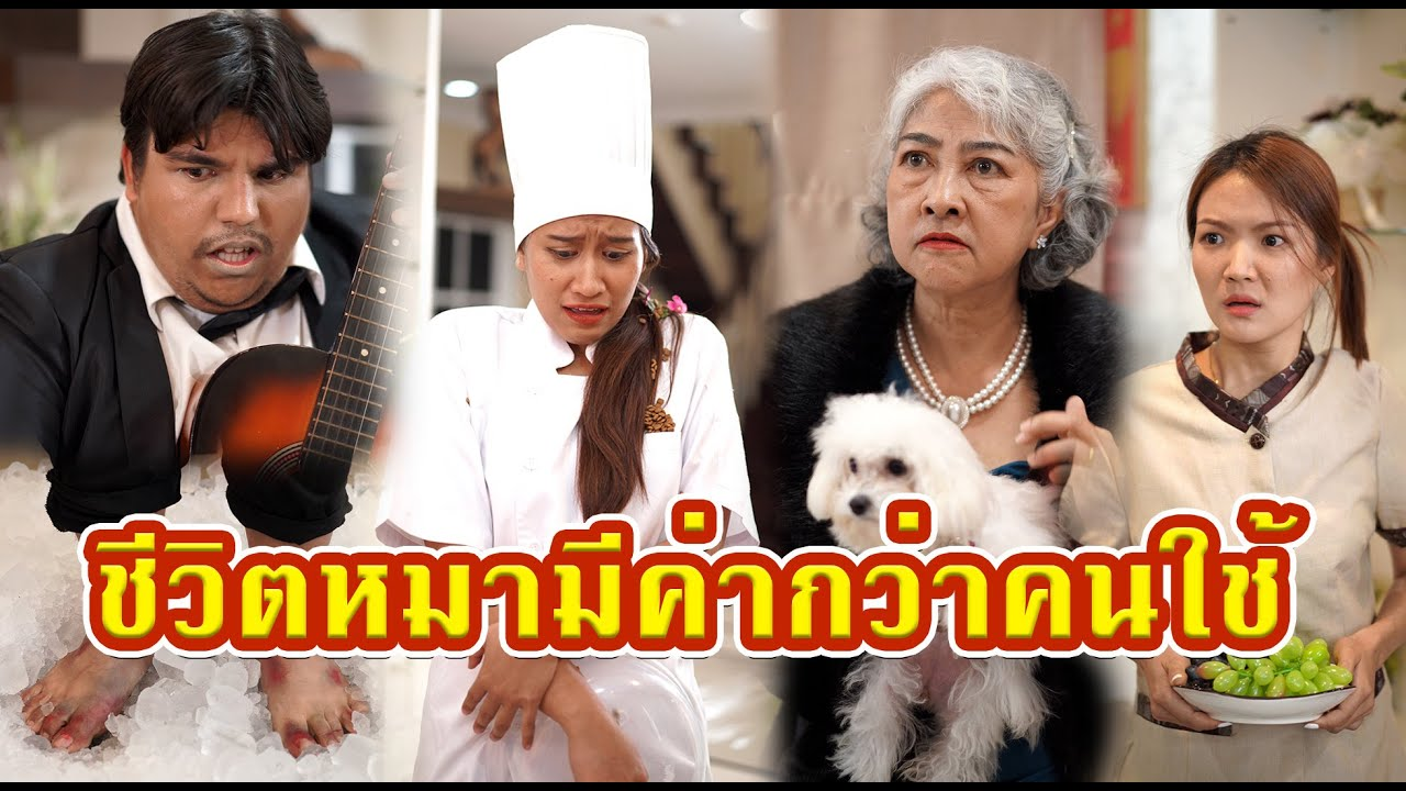 [ตอนต่อไป] 530T1129 AC123 คุณนายไฮโซเห็นหมาดีกว่าคน ให้ลูกน้องเล่นกีต้าร์ให้หมาฟัง.mp4