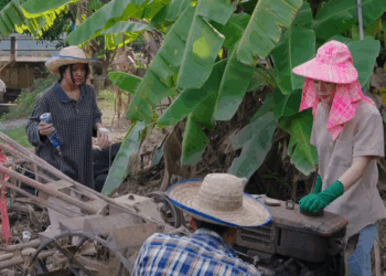 [ตอนต่อไป] 413T1110 A แม่หม้ายไม่มีเงินจ่ายค่าเช่าบ้าน