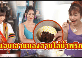 [ตอนต่อไป] 628T1129 AC221 จบปอตรีเกียรตินิยม แต่มาขายพริกแกงโดนดูถูก.mp4
